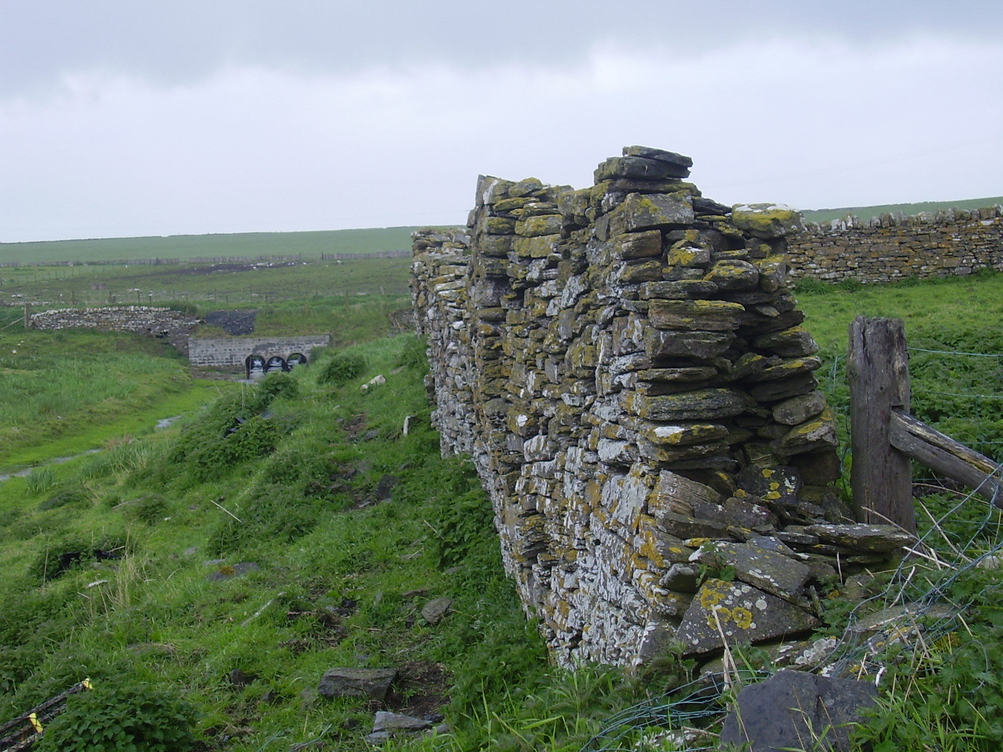 Wall and bridge