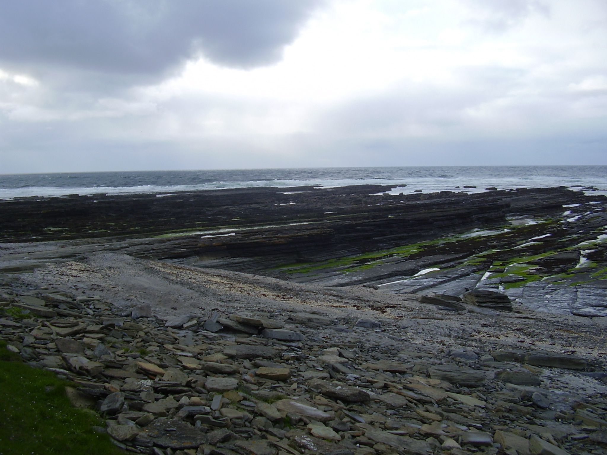 Brims Ness