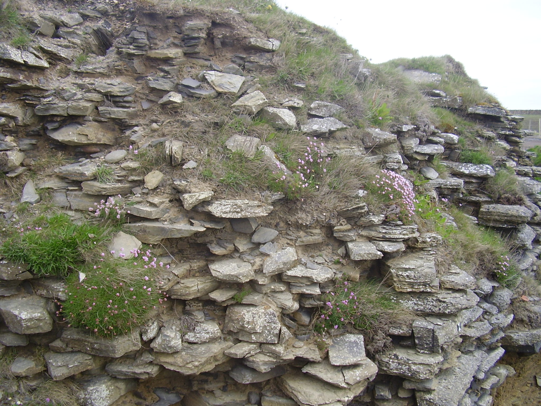 Walls or midden