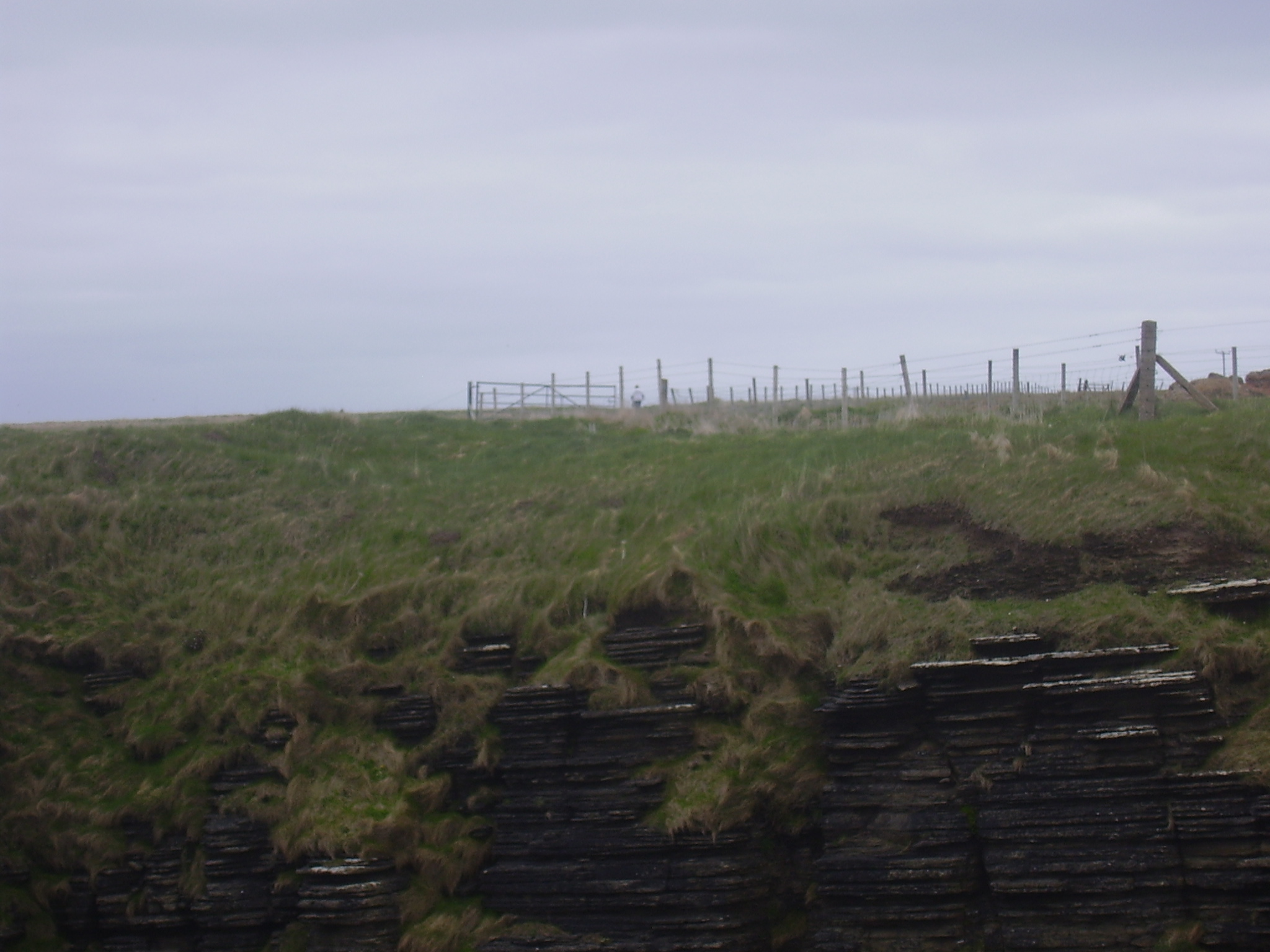 Fence on mainland