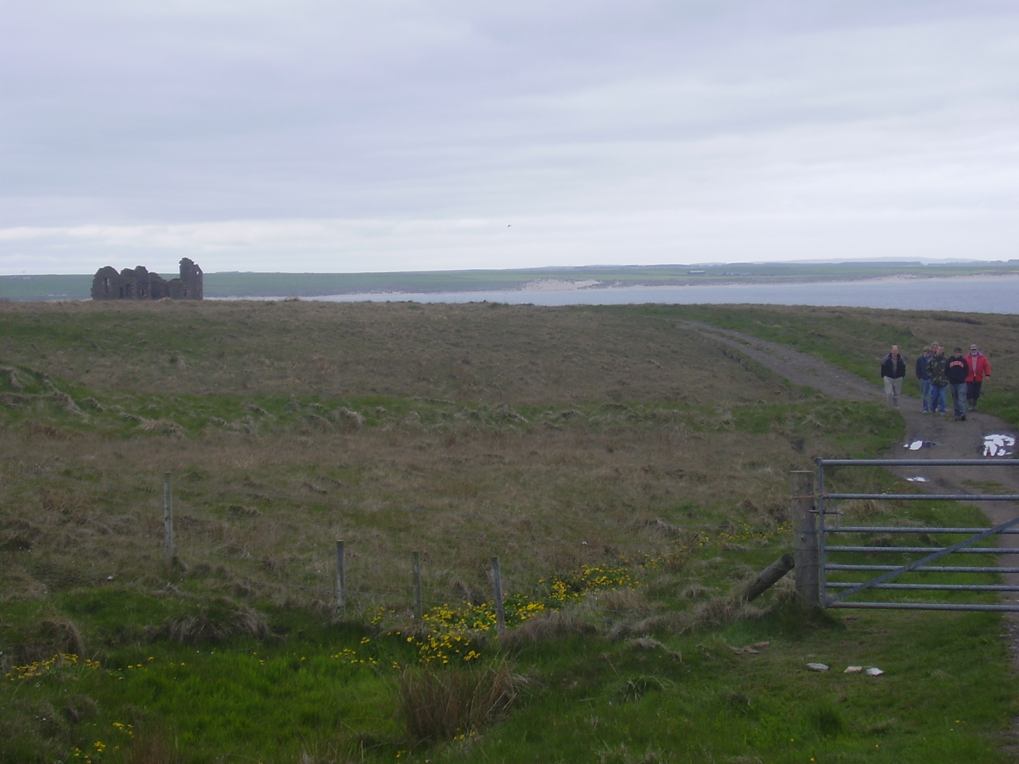 Castle and field gate