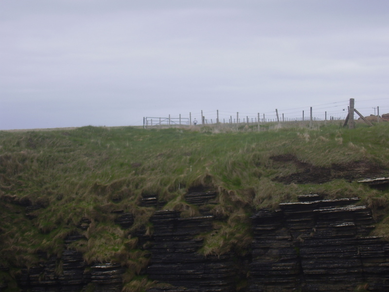 Fence on mainland