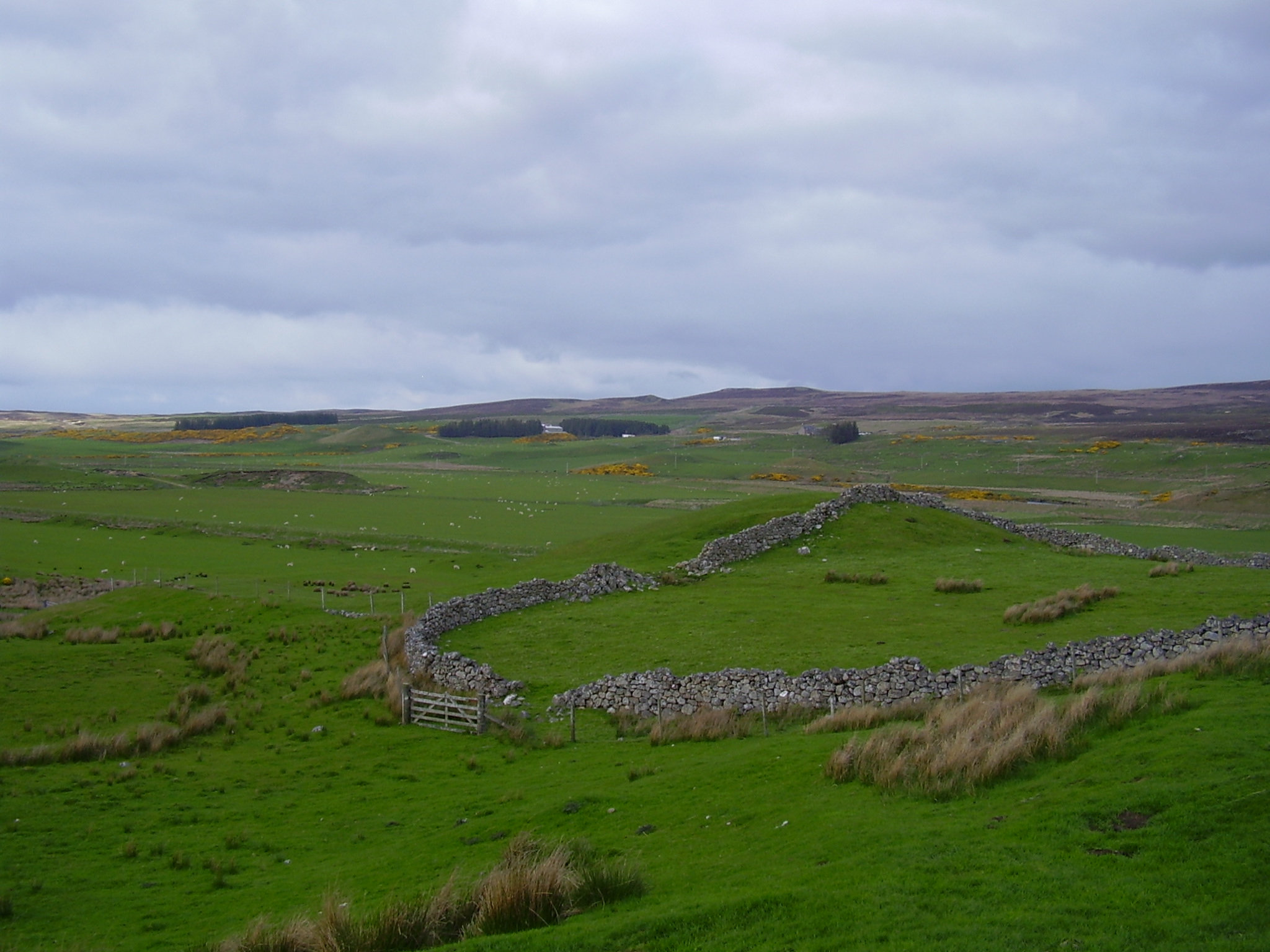 Kirkton farm