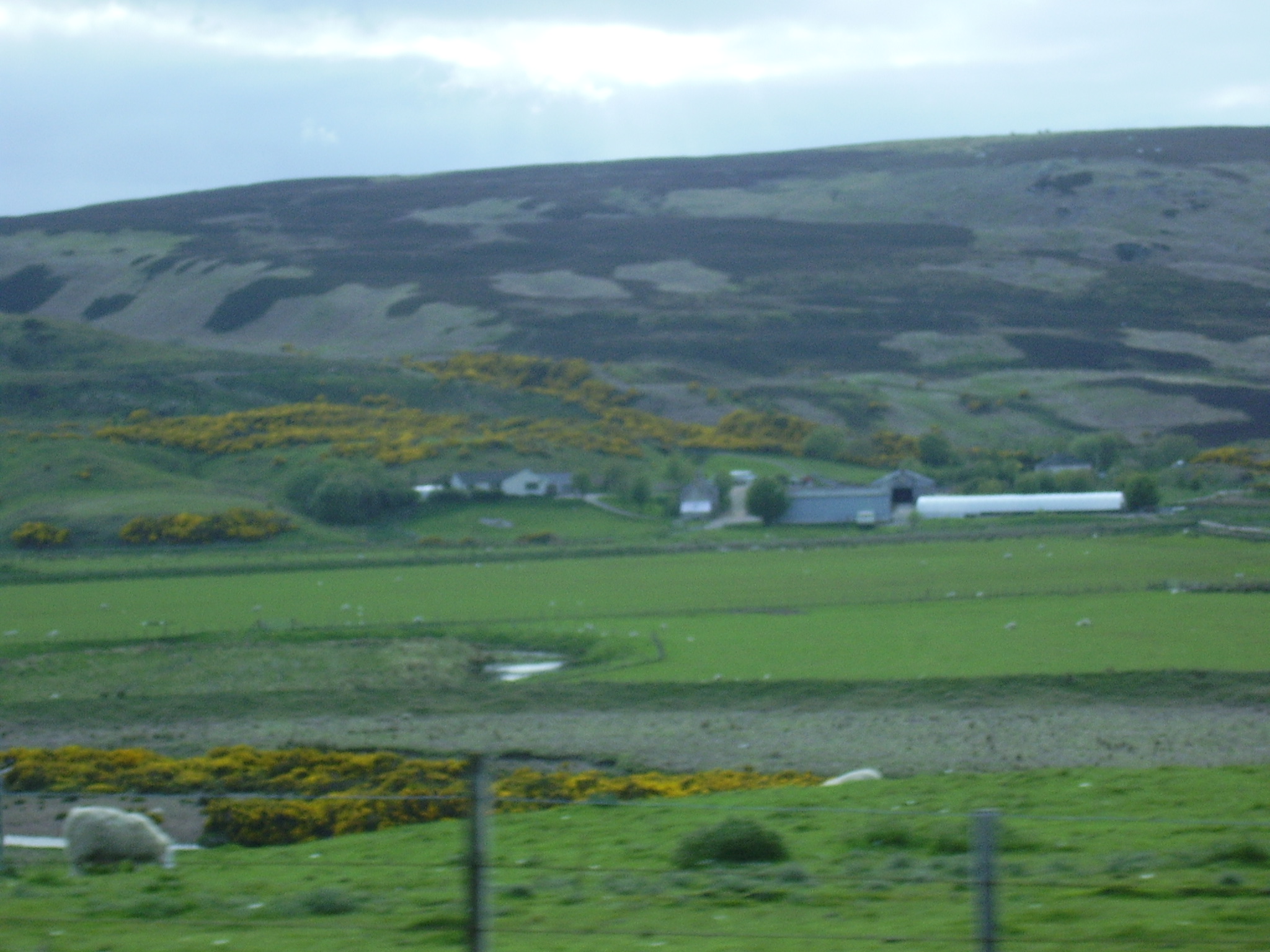 Kirkton Farm across Strath Halladale