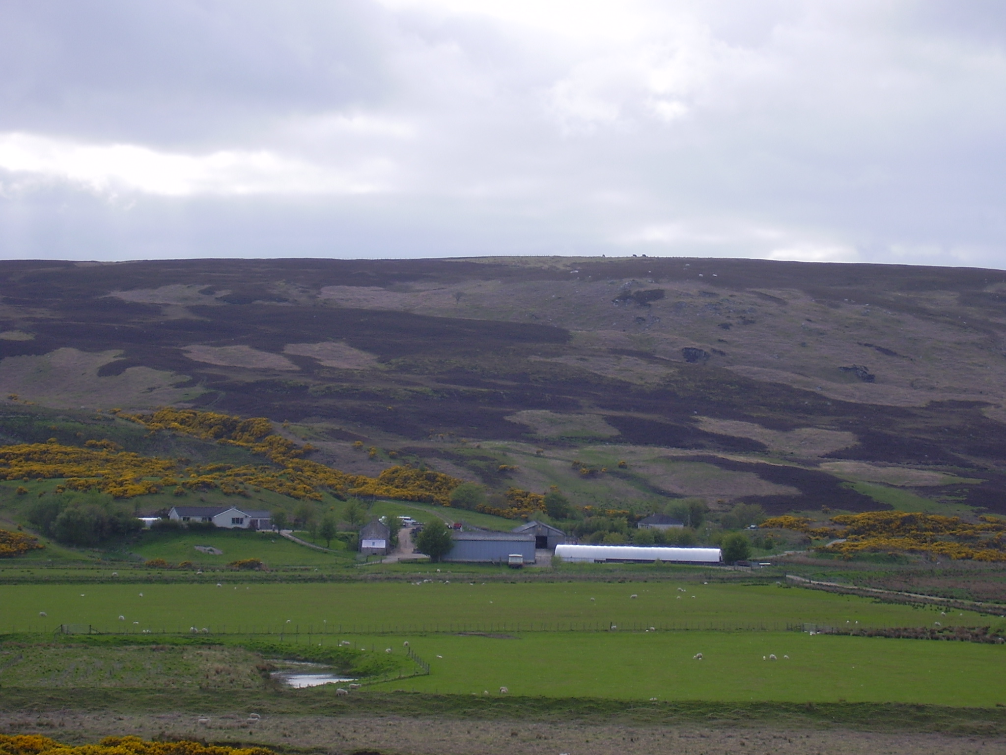 Kirkton Farm across Strath Halladale