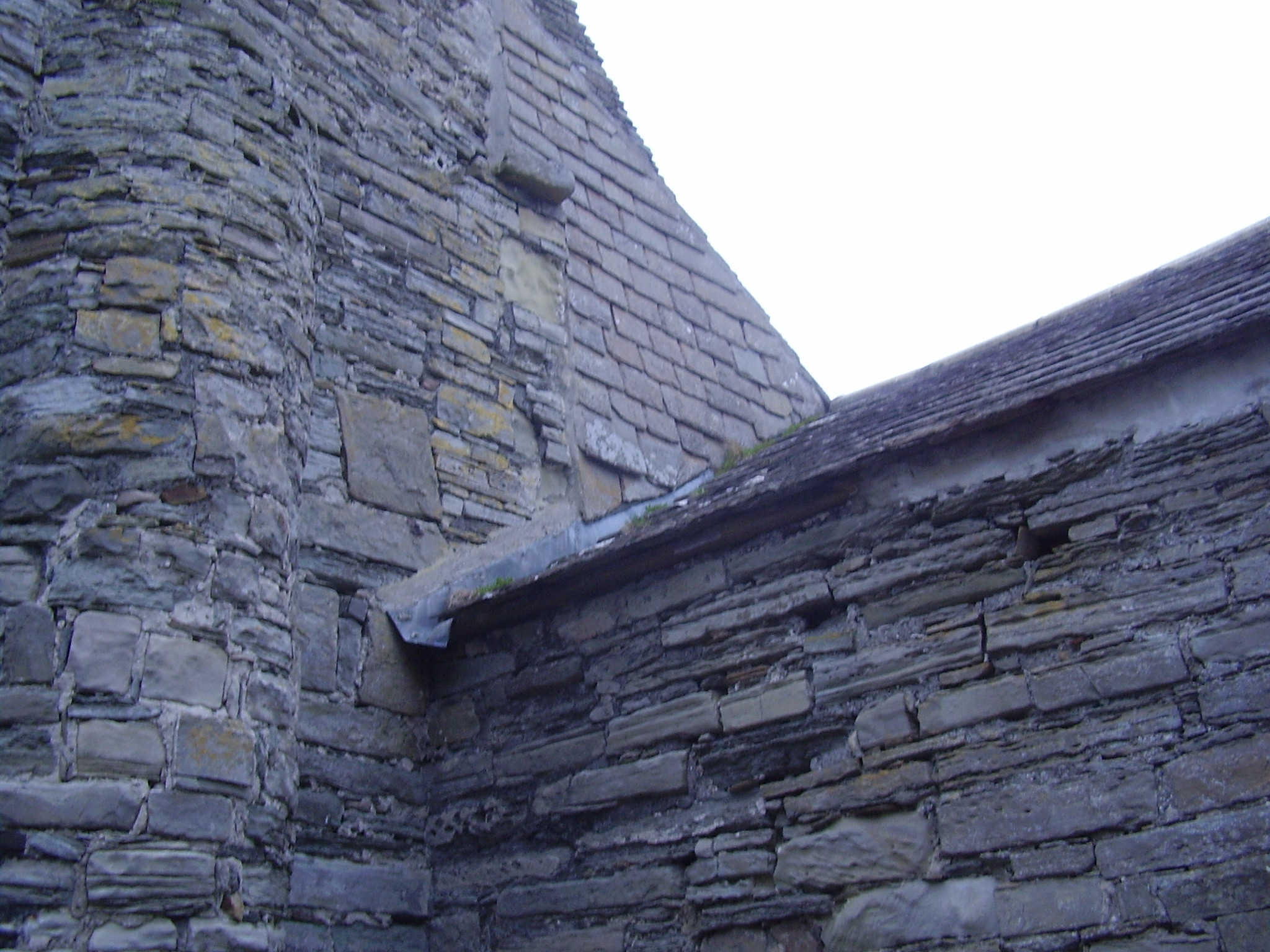 Roof, with some signs of repair