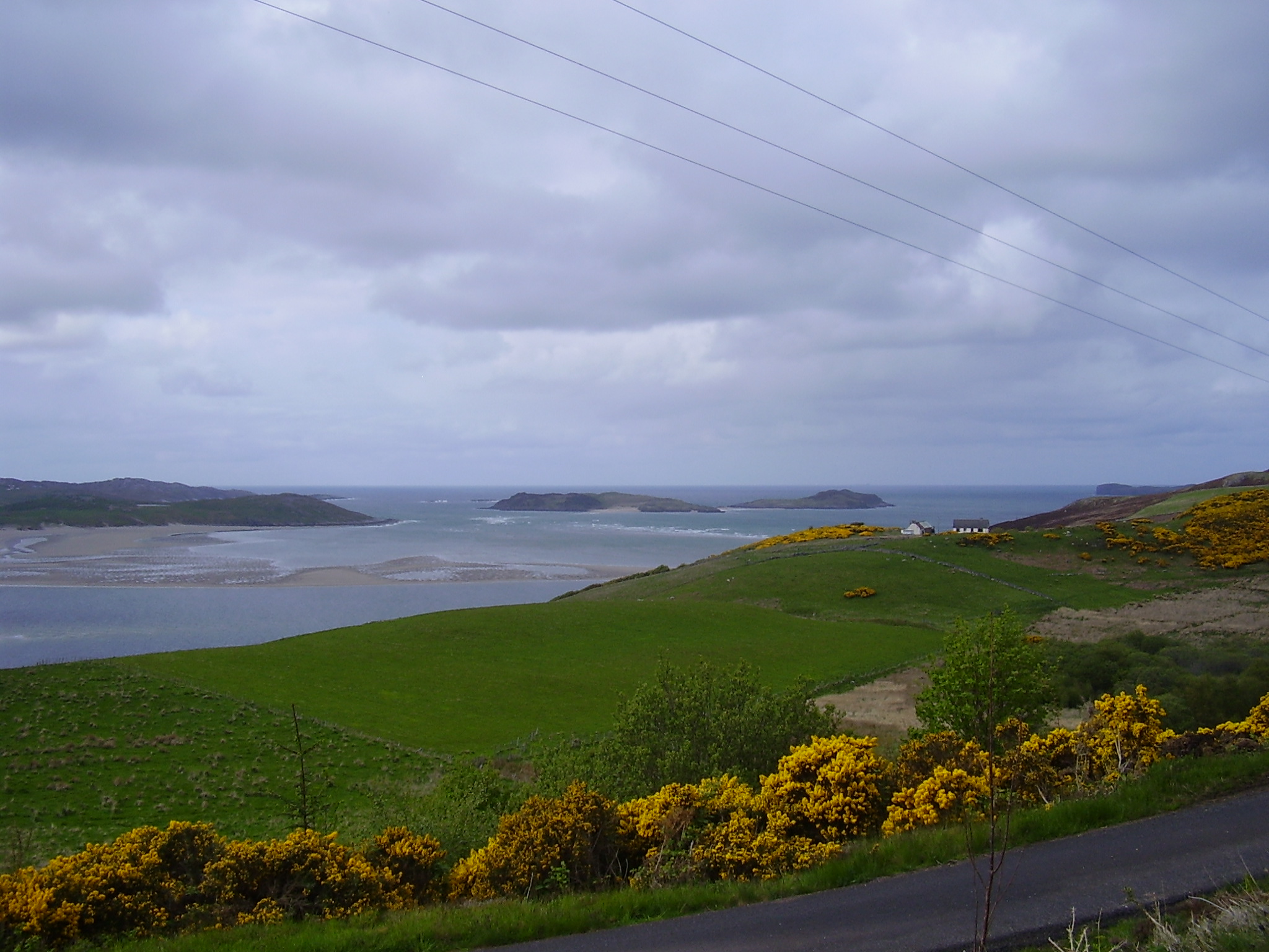 Gorse, house, rabbits